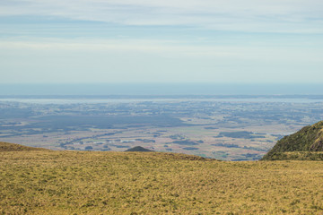 Cambará 01