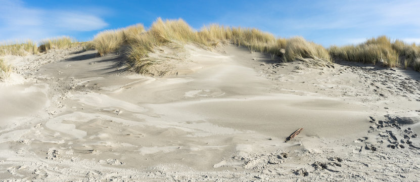 Cannon Beach Sand Panorama