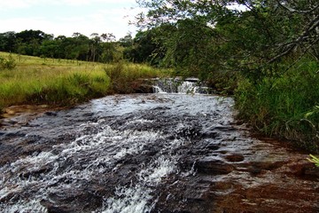 Ecotourism