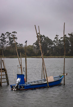 Paus Bilder Durchsuchen 519 Archivfotos, und Videos