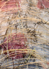 fishing nets and ropes