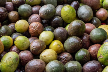 Bunch of ripe raw avocado of Madeira island, Portugal