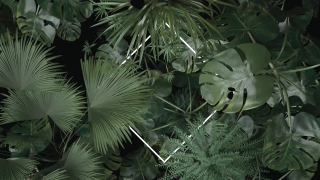 animation of rotated square neon light covered with tropical leaves. Flat lay of minimal natural style concept