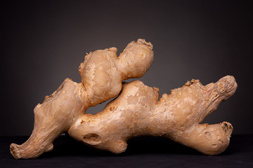 Flowing rhizome form of fresh ginger root as low key still life studio shot of edible spice against...