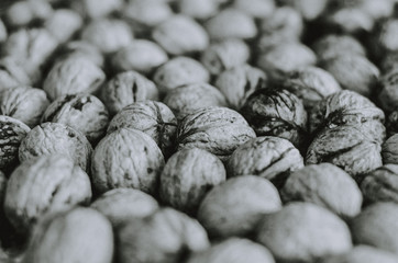 Natural background made from different kinds of nuts. 