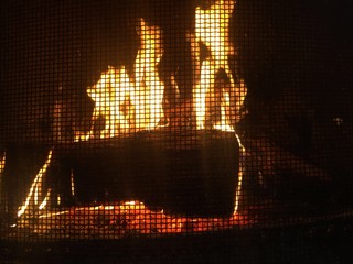 Fire and Flames at Brick Fire Place Covering Burning Wood Logs with Screen in fireplace at house  1