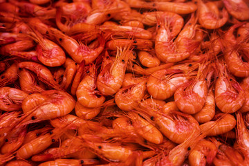 Mariscos e viveiros, lagosta e camarão