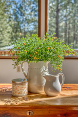 Flower Pot on chest of drawers