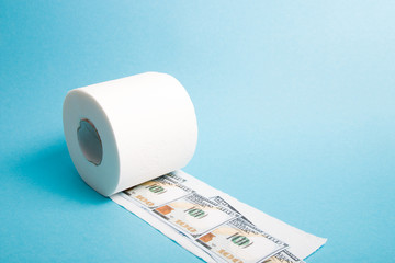 a roll of white toilet paper and a few notes worth 100 dollars, money on a toilet paper roll, blue background copy space.