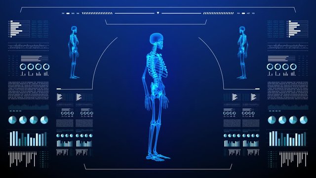 Human body skeleton study on diagnostic computer display.