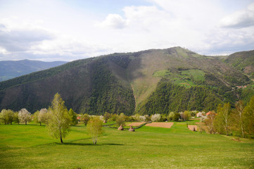  beautiful nature and greenery somewhere in Bosnia and Herzegovina. beautiful trees and precisely...