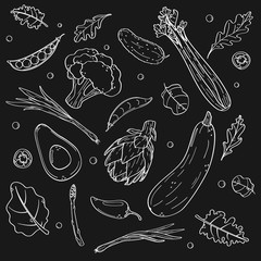 Black and white hand-drawing vegetables in sketch style