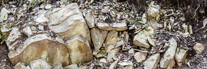 Close-up of stone boulder