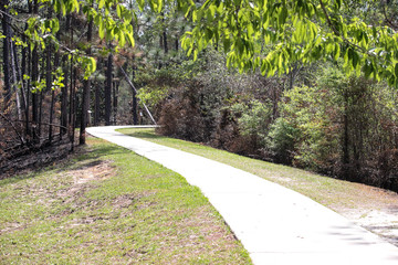 path in the park