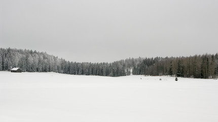 winter landscape with trees and snow