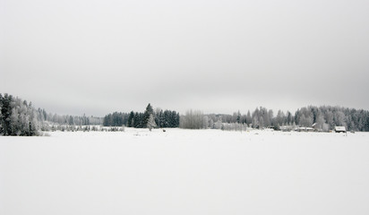 winter landscape with fog and trees