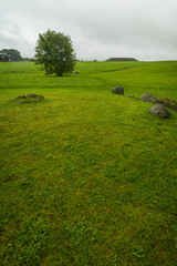 Obraz premium Carrowmore megalithic site in ireland