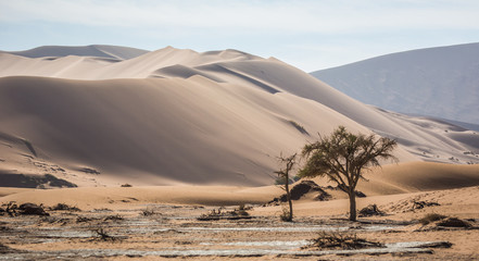 Fototapeta na wymiar Landscape of Namibian Desert