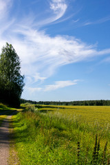 Fototapeta premium countryside