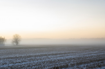 winter landscape with fog