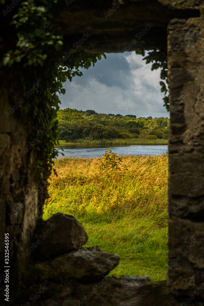 Wall mural tree from menlo castle in galway ireland