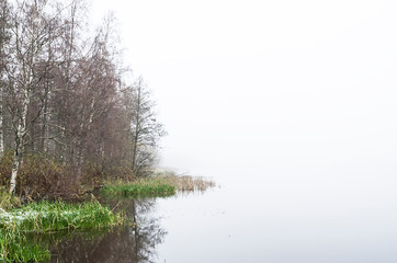 fog on the river