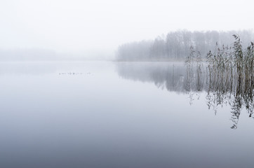fog over lake