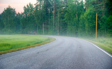 Obraz premium road in the forest