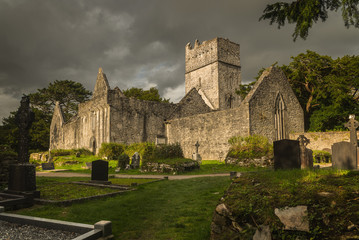 Muckross abbey in beautiful Ireland - obrazy, fototapety, plakaty