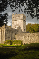 Fototapeta na wymiar Muckross abbey in beautiful Ireland