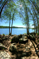 lake in the forest
