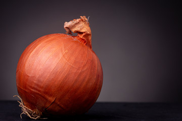 Texture of a round vibrant onion contrasted against a dark grey low key still life studio shot background