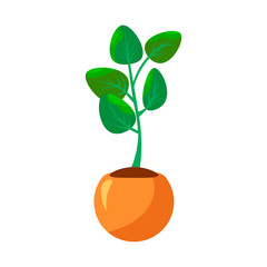 Cartoon green house plants in pots set. Leaf and flowers icon. Flowerpot isolated objects, houseplant flower pot collection. Vector illustration