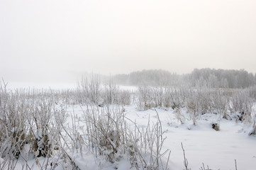 winter landscape with river and trees