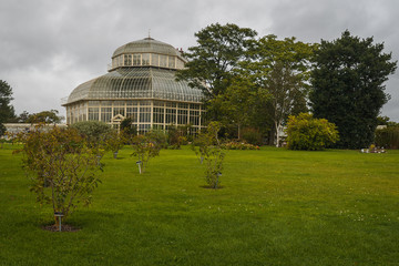 Fototapeta na wymiar botanic garden dubli