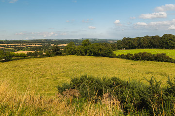 Fototapeta premium Irish rural landscape at Dowth