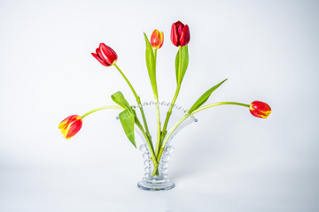tulip, flower, bouquet, tulips, spring, isolated, red, white, vase, floral, blossom, nature, green, flowers, bunch, petal, beauty, pink, bloom, plant, flora, fresh, gift, beautiful, antique vase