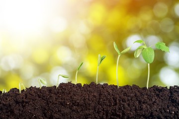 Grow.