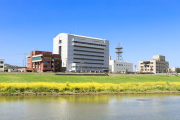 Obraz premium 遠賀川河川敷の菜の花と直方市役所