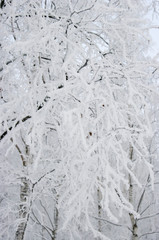 texture of ice