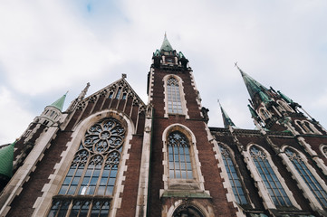 Olga and Elizabeth church in Lviv. Baroque and Gothic architecture. Steeples on the towers. Vaulted...