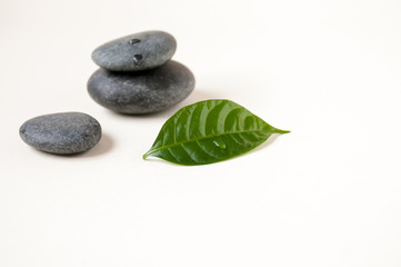 Still life : a green leaf lying near the stones, a place for text, a time of meditation