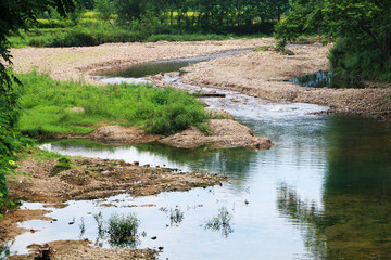 The cow crossed the river with her calf