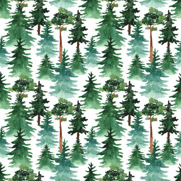 Watercolor seamless pattern with fir trees and pines on a white background.