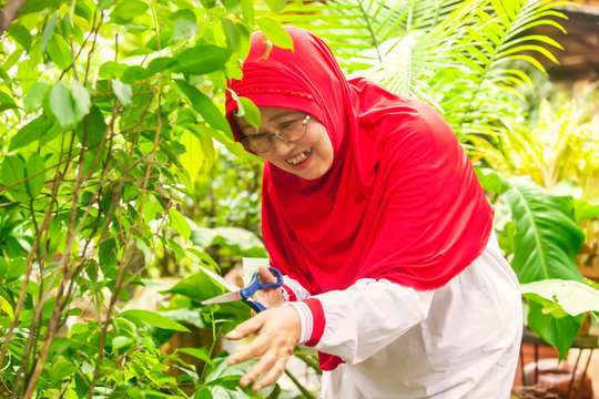 Happy Old Muslim Woman Gardening At Backyard