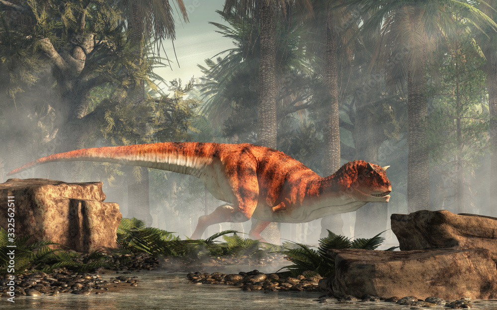 Poster carnotaurus was a carnivorous theropod dinosaur with horns on its head that lived in cretaceous era 