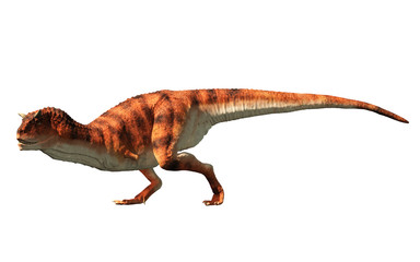 Carnotaurus was a carnivorous theropod dinosaur with horns on its head that lived in Cretaceous era South America. On a white background. 3D Rendering 