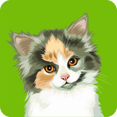 cute cat with long fur vector cartoon perfect for pet lover or pet business