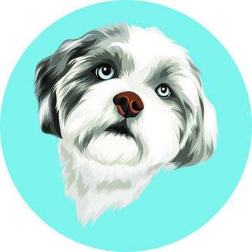 White Dog With Long Fur Vector Cartoon Perfect For Pet Lover Or Pet Business