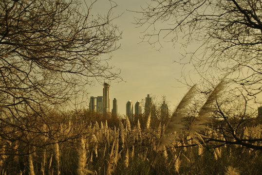 ciudad